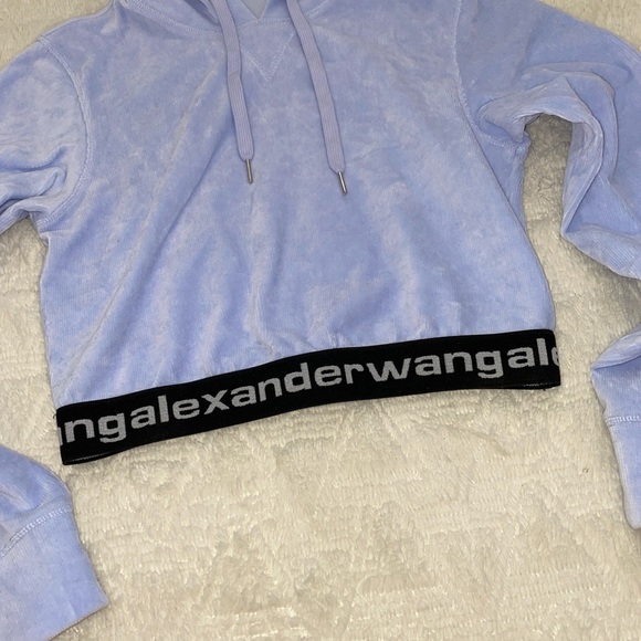 Alexander Wang T corduroy logo elastic hoodie - Picture 4 of 7